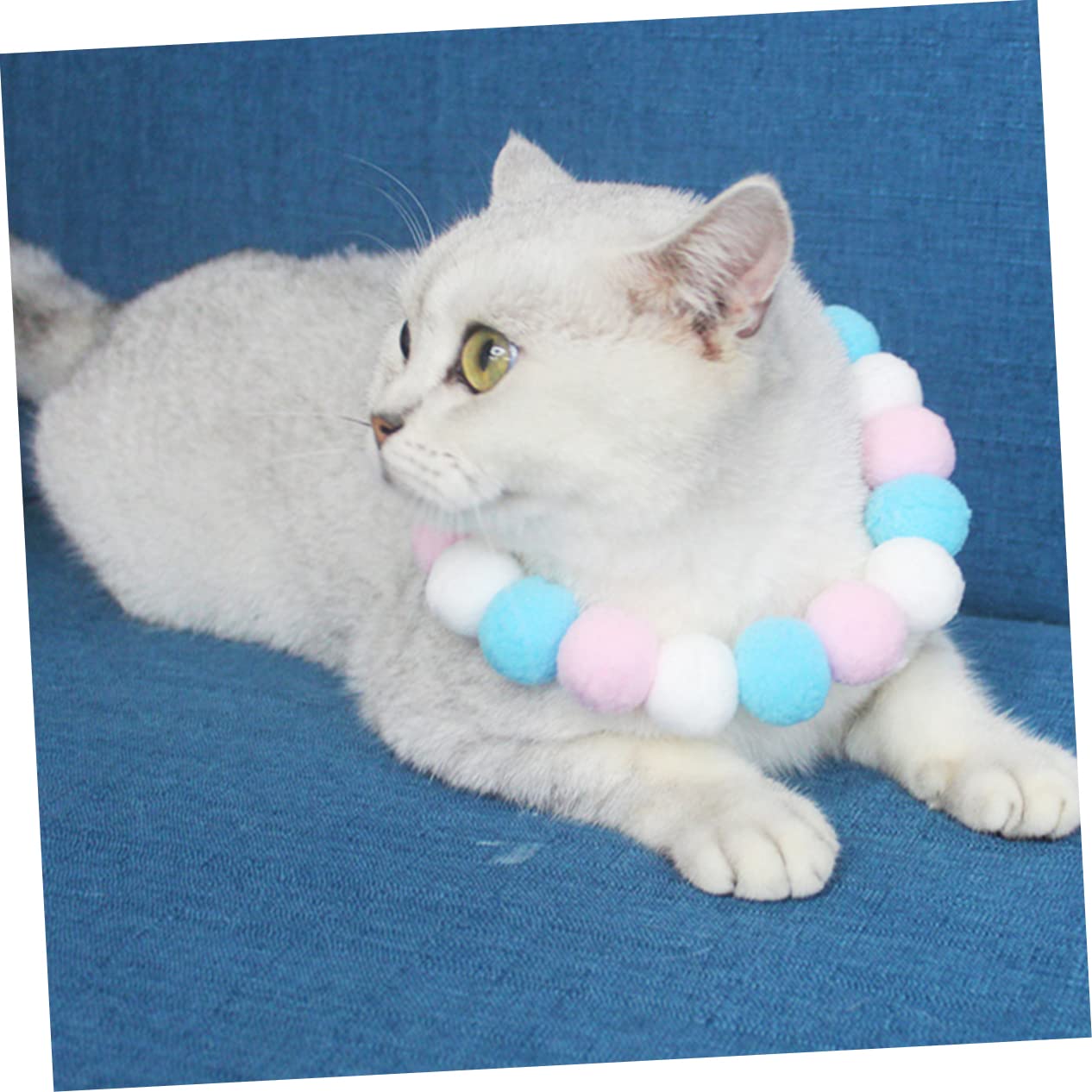 テディベア(ブルー)わんちゃん猫ちゃん用首輪