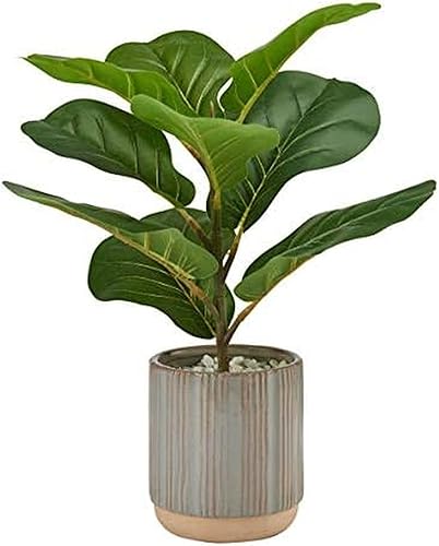 Elements Fiddlehead - Higo verde artificial, 18 pulgadas, esmerilado