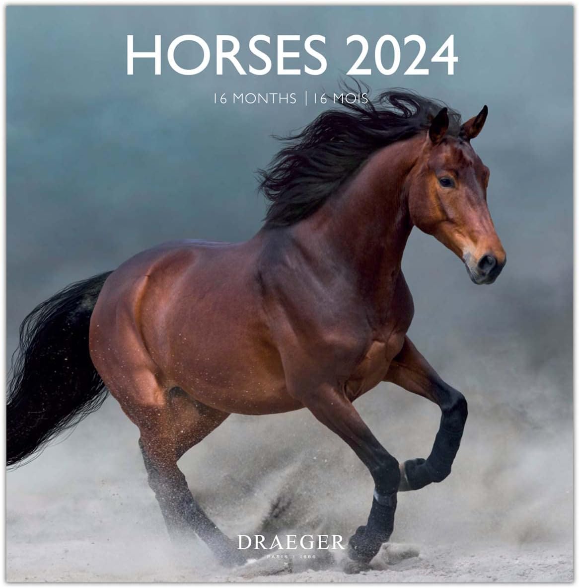 DRAEGER PARIS | Doisneau 2024 Large Wall Calendar Hanging 29 x 29 cm | 16 Months Sep-23 to Dec 24 | 7 Languages | Office Calendar, Home, Monthly | Decoration, Organization | FSC® Certified Paper 5