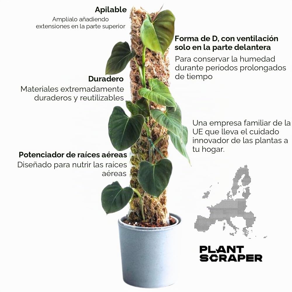 Tutores de Musgo para Monstera - 5 Unidades 39 x 6 cm - Soporte Extensible con Accesorios - con Velcro y Musgo para Aroideas y Plantas Trepadoras