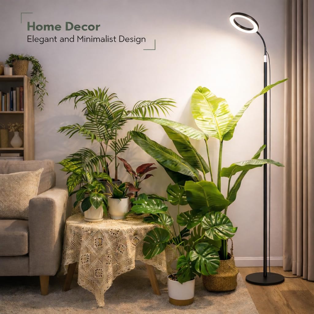 cardboard palm plant Zamia Furfuracea main image 1