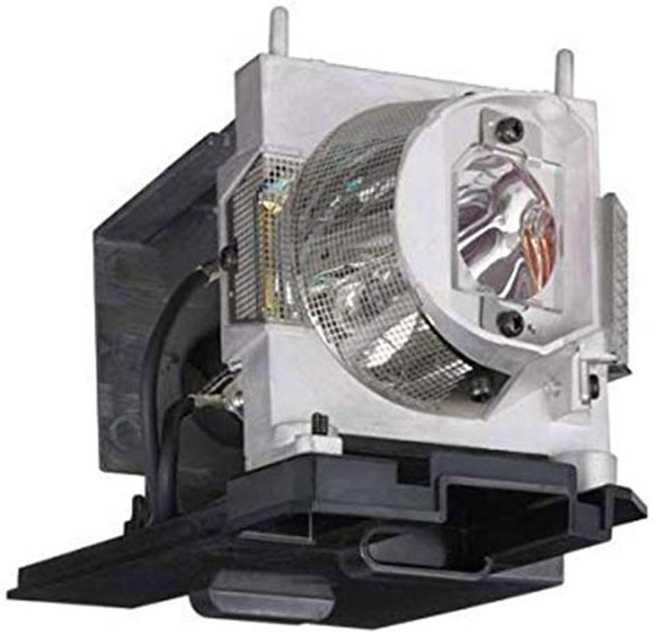 GOLDENRIVER NP24LP Projector Lamp Bulb with Housing and Original Bulb Compatible with NEC PE401H