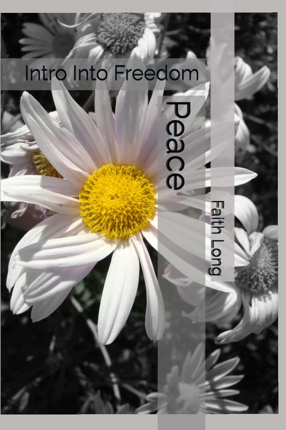 Peace: Intro Into Freedom