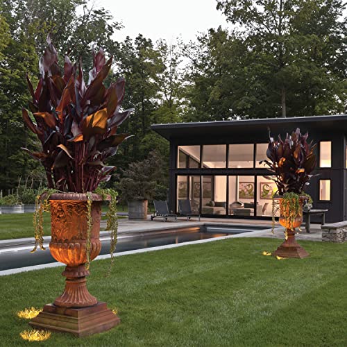 Hinkley Lighting Flat Top Well Light - Flat Top In-Ground Light That Highlights Important Landscape Features and Increases Home Security, Matte Bronze Finish, Hardy Island Collection, 16701MZ - Thumbnail 4