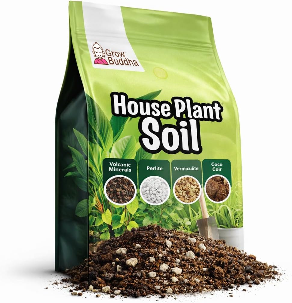 Grow Buddha Houseplant Potting Compost (2L) – Premium Indoor Plant Soil Mix with Perlite, Coco Coir & Activated Charcoal – Ideal for Monstera, Fiddle Leaf Fig & Tropical Houseplants