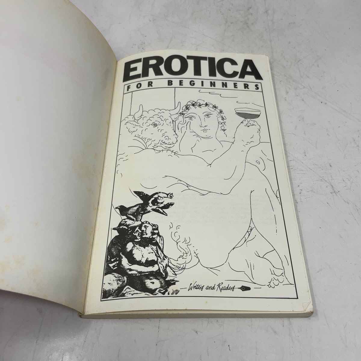 Erotica for Beginners