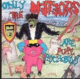 meteors psychobilly rules  Only the Meteors are pure Psychobilly