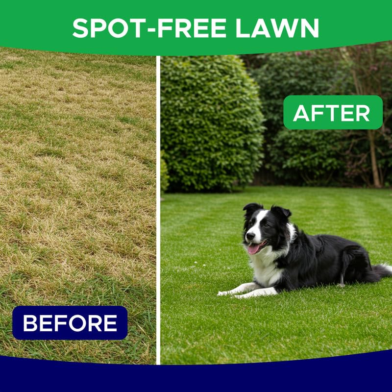 Image of Green Grass Dog Chews for Lawn Protection - Dog Urine Neutralizer for Grass Burn Spots - Lawn Restore Treats - Made in USA - 120Ct Soft Chews