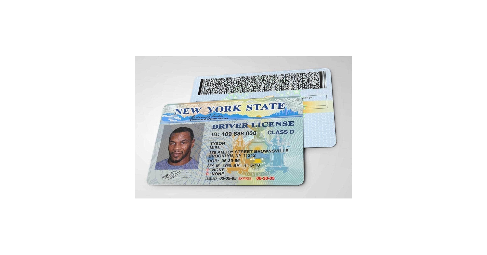 Amazon.co.jp: Pro Boxer Mike Tyson/Mike Tyson Boxing/ID Card