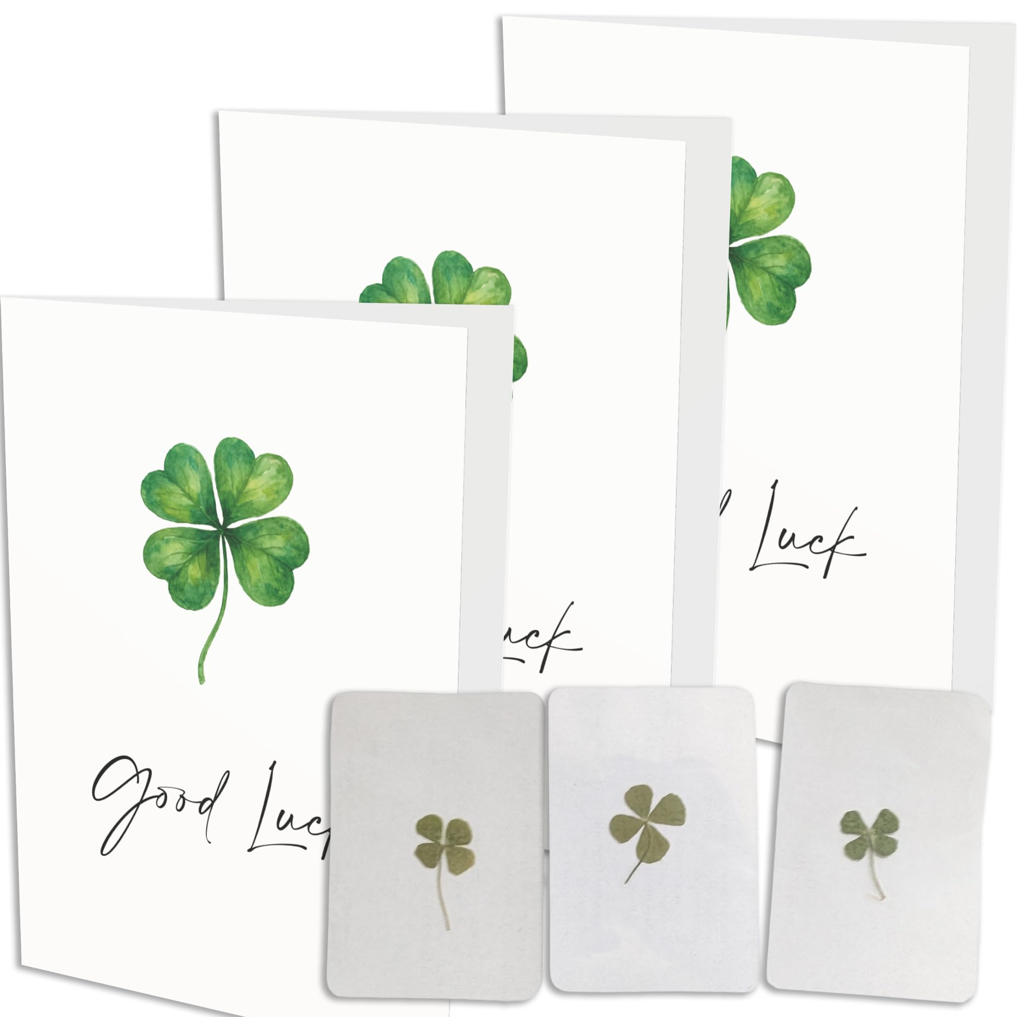 Greeting Card with Real Pressed Four Leaf Clover – Large A5 Greeting Card with Lucky Charm Inside (3 x Good Luck)