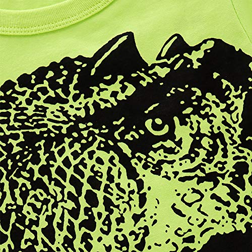 Image of Toddler Boy Clothes Cartoon Cotton Summer Short Sleeve T-Shirt and Shorts Kids Outfit Set 2-7 Year