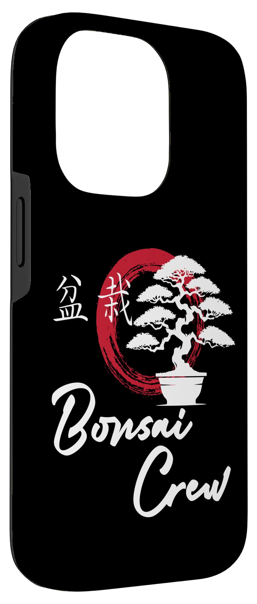 pingwu bambus kaufen Green boutiQ Fargesia robusta Pingwu Bambus, nicht wuchernd, Topf 23cm   meinpflanzenshop.de