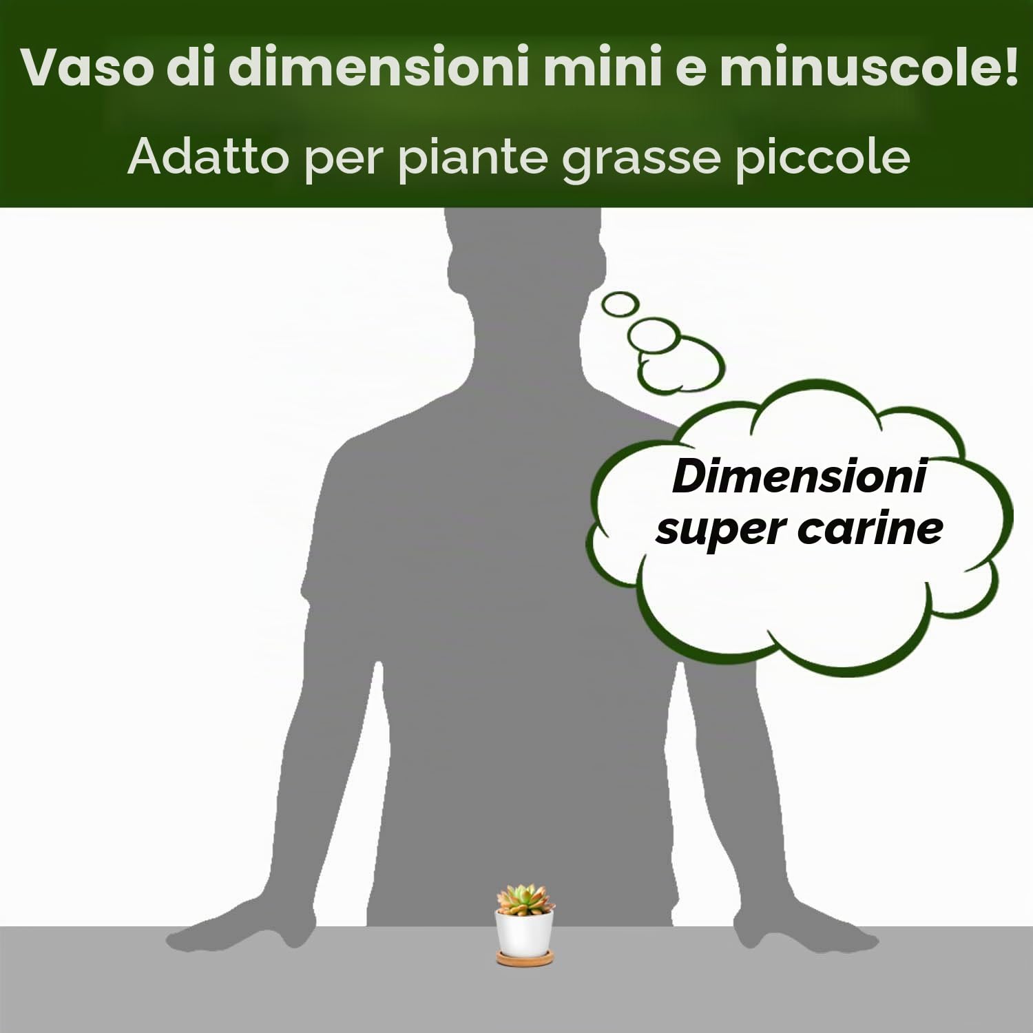 T4U vaso per piante da interno bianco rotondo con sottovaso, vaso piante grasse per cactus, set da 12, per uso dedicato agli amanti delle piante, decorazione per scrivania, scaffali e finestre
