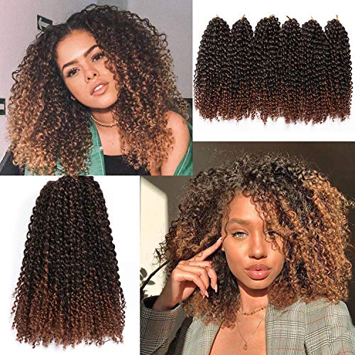 BeiSD 2Pcs/Pack 12'' 120g Afro Kinky Twist Hair Crochet Braids Natural Ombre Braiding Hair Synthetic Marlybob Curly Crochet Hair Pieces 4 Colors Available (1BT30)