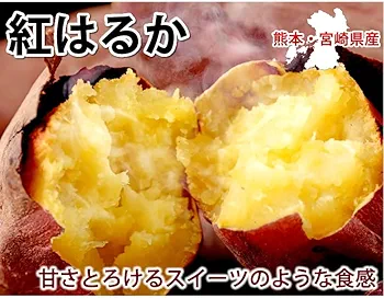 はるか 2L 箱込み約10キロ×2箱 箱込み約10キロ×2箱 2L はるか