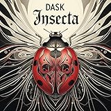 insecta shoes porto alegre  Insecta