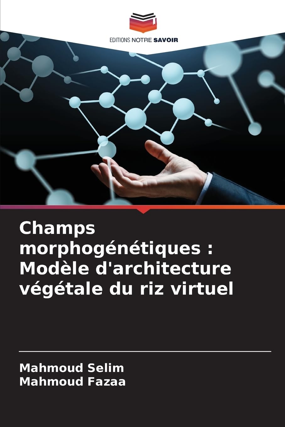 Champs morphogénétiques: Modèle d'architecture végétale du riz virtuel