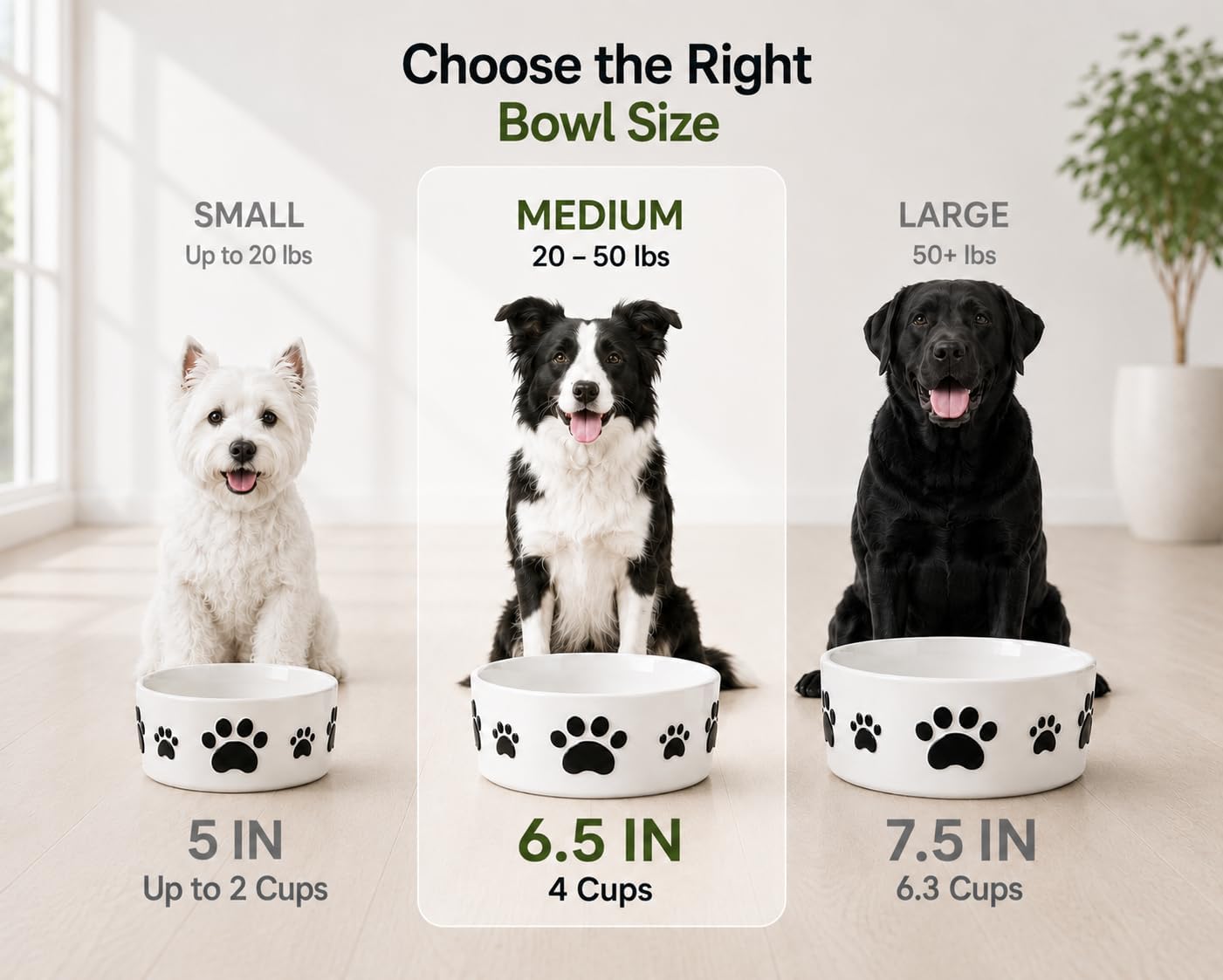 Keramik-Hundenäpfe für mittelgroße Hunde – 16,5 cm rund × 6,5 cm hoch, Hundefutternapf & Wassernapf für Hunde, mittelgroße Hundenäpfe mit Anti-Rutsch-Ringen – Futter- und Wassernäpfe für kleine bis