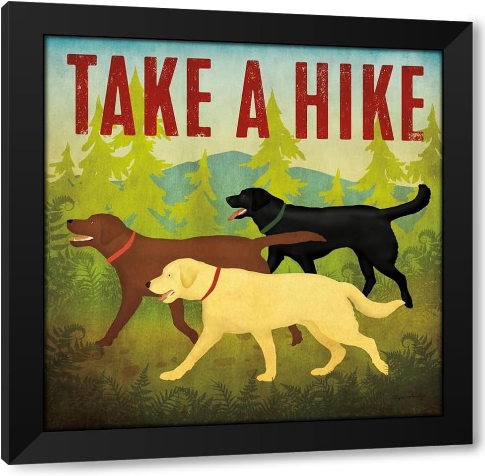 ArtDirect Take a Hike Lab II 36x36 Huge Black Modern Wood Framed Canvas Giclee Art by Fowler, Ryan