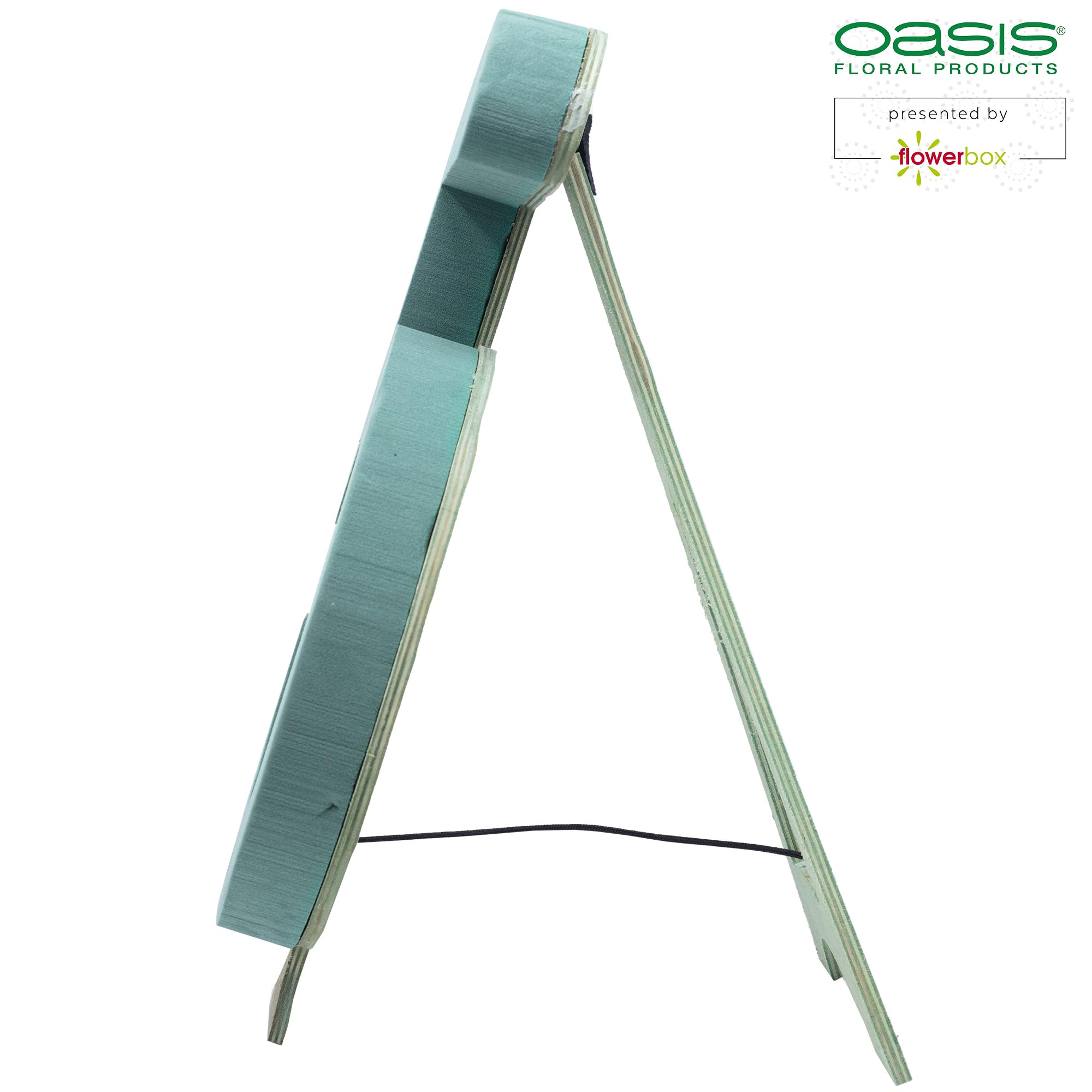 Flowerbox Oasis Steckschaum Bioline Ziffer 5 40cm Steckmasse Steckschwamm