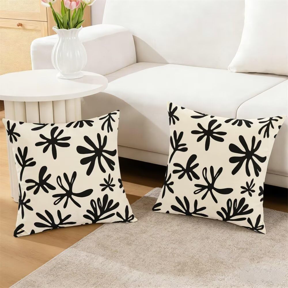 Federe Cuscini Divano 60x60 cm Federe Morbido Copricuscini Beige Nero in Velluto, 2 Pezzi Copri Cuscini per Divano Moderno Decorativi Federa Cuscino Astratto per Camera da Letto Soggiorno (IU91)