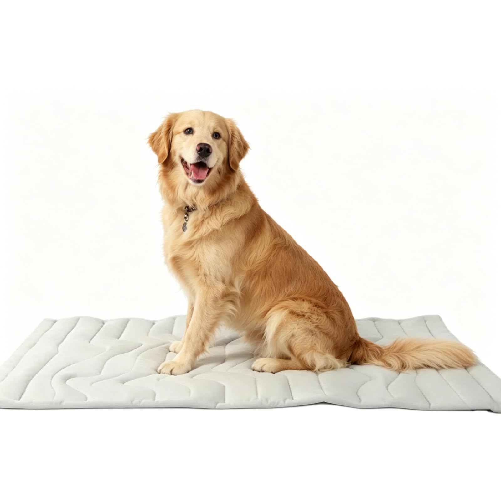 Dr Pfoten Pfotenchill Alfombrilla de refrigeración para mascotas, alfombrilla de refrigeración para perros (XL 50 x 101 cm)