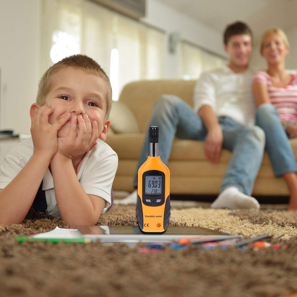 Lancoon Termometro digitale portatile, igrometro professionale per temperatura e umidità, con lampadina umida, punto di rugiada, strumento HVAC per aria ambiente interna ed esterna