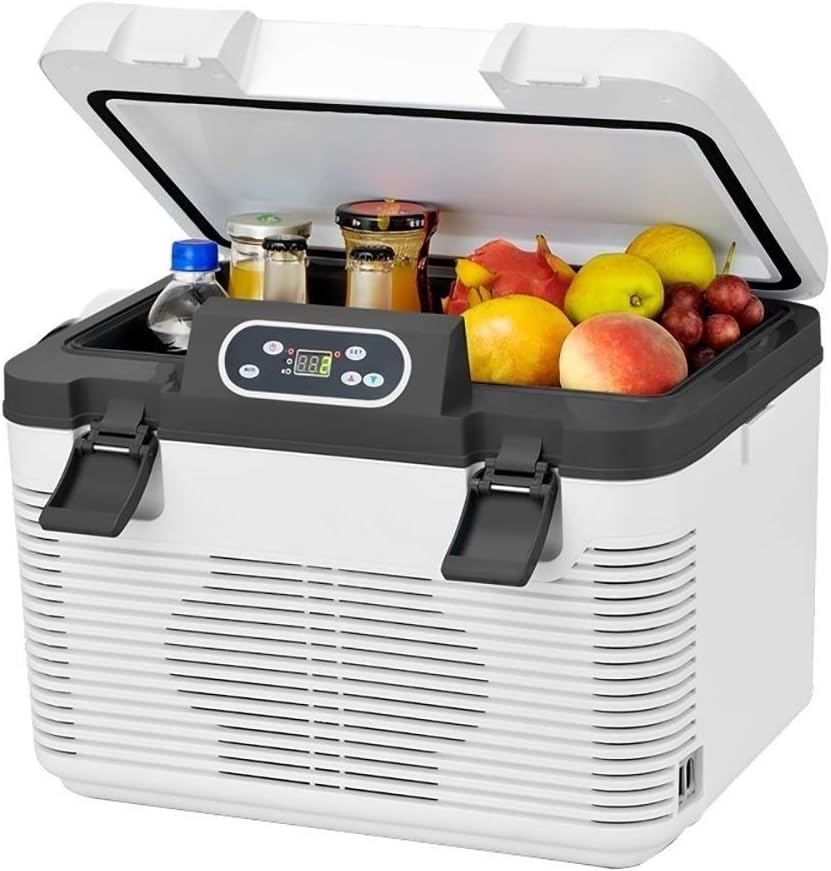 Mini Portable 19L Cold and Warm tat Refrigerator Storage Box Dedicated Double Bedroom Home Multi-Function Large Capacity car Refrigerator