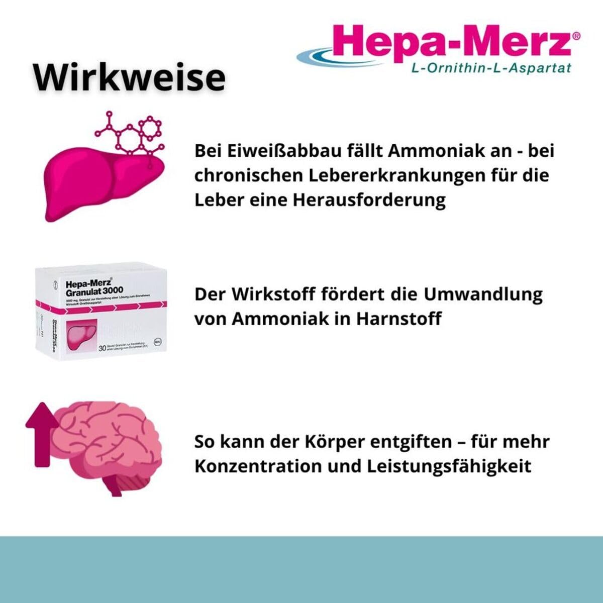Hepa-Merz® Granulat 3000 bei chronischen Lebererkrankungen wie (alkoholischer) Leberzirrhose, Fettleber oder hepatischer Enzephalopathie
