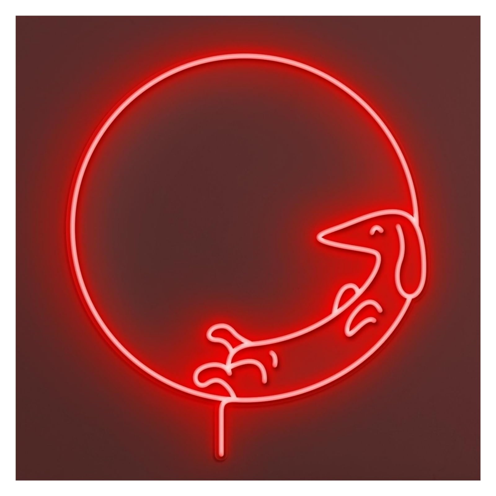 RONGCH Hanging Art Signs Dachshund Dog Neon Sign, Suitable for Home Wall Decor with Brightness Adjustable 50cm