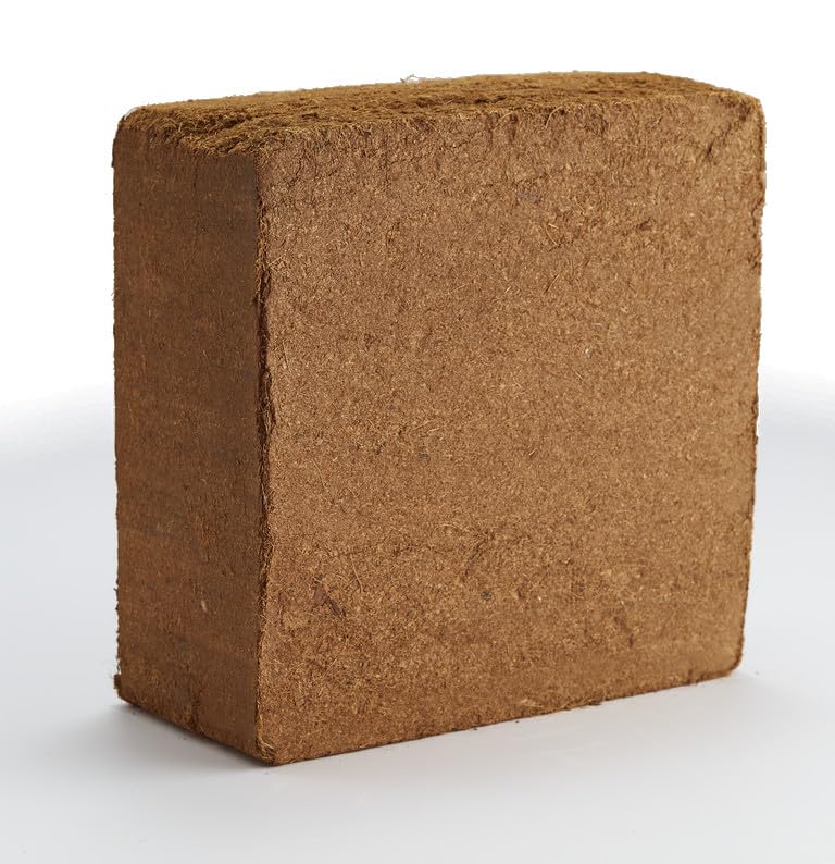 Kokoserde Anzuchterde 5kg Block - ergibt ca 80 Liter - gewaschen - Anzucht & Terrarium - Kokoshumus Blumenerde