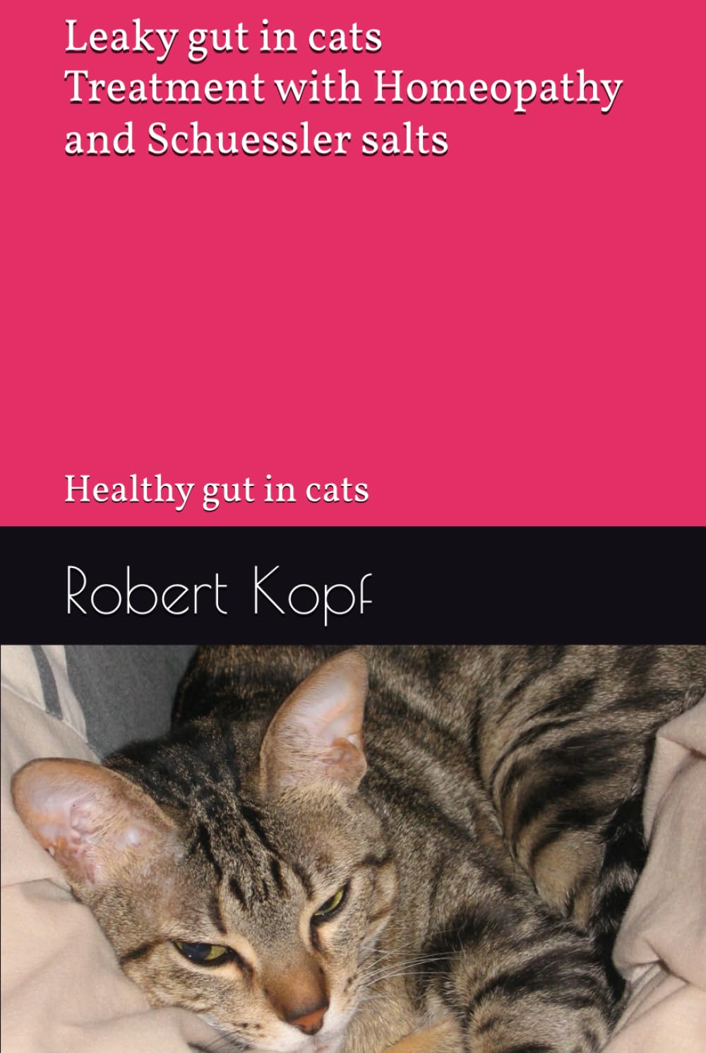 Leaky gut in cats - Treatment with Homeopathy and Schuessler salts: Healthy gut in cats