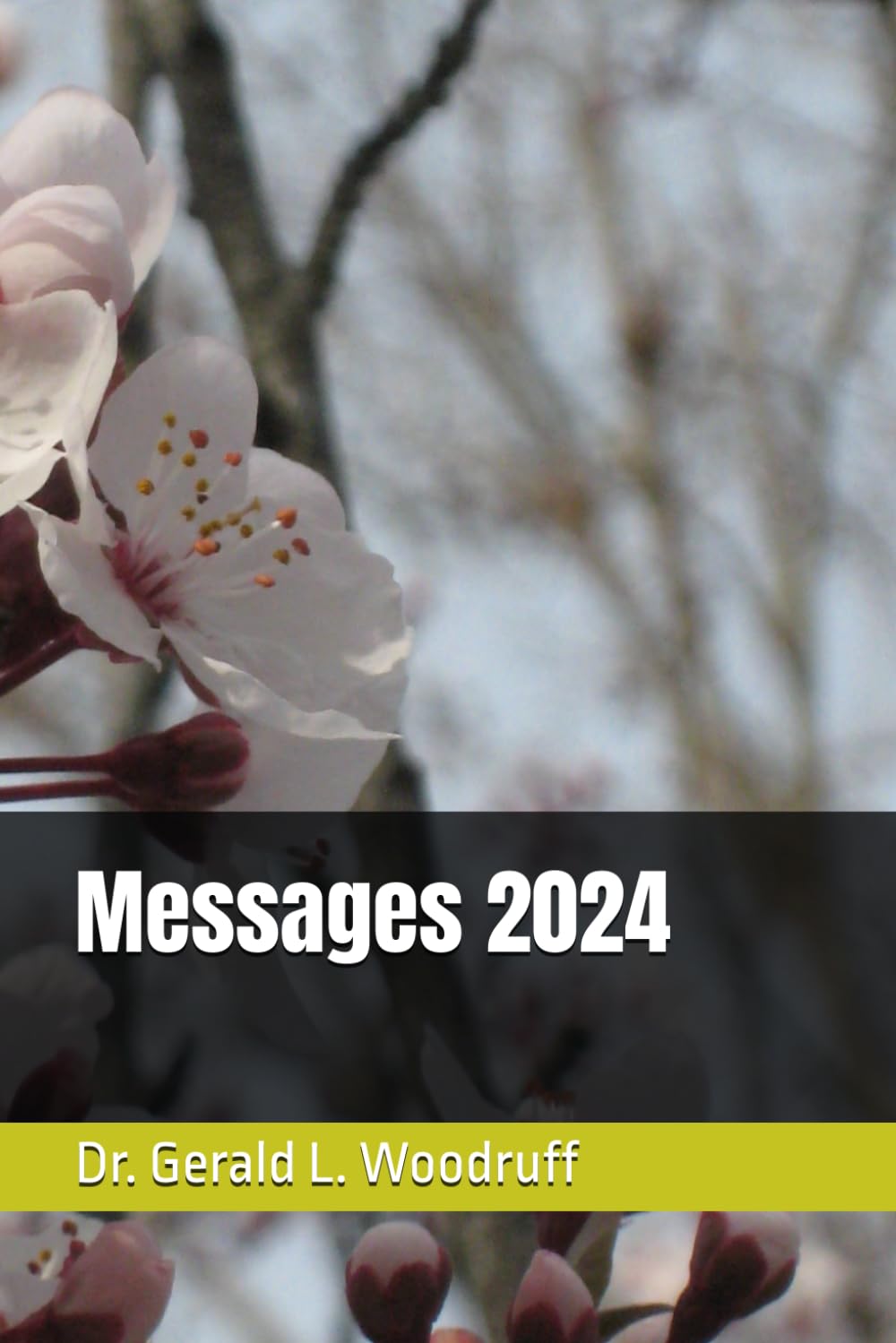 Messages 2024