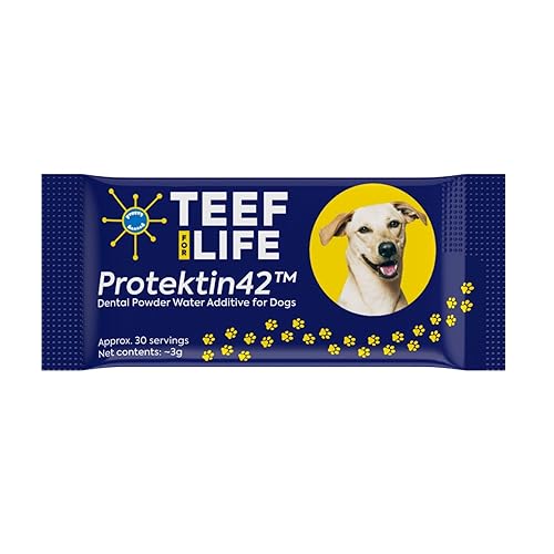 TEEF FOR LIFE Refill Packets Protektin42 Prebiotic Dental Powder for