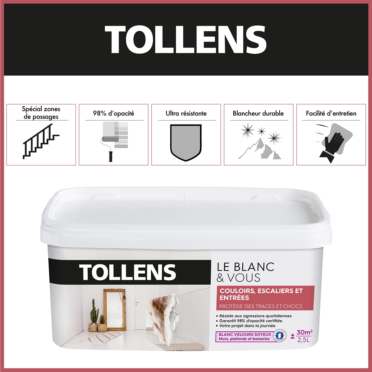 Tollens - Peinture Blanche Spéciale Couloirs, Escaliers et Entrées - Velours - Blanc 5L = 60m2