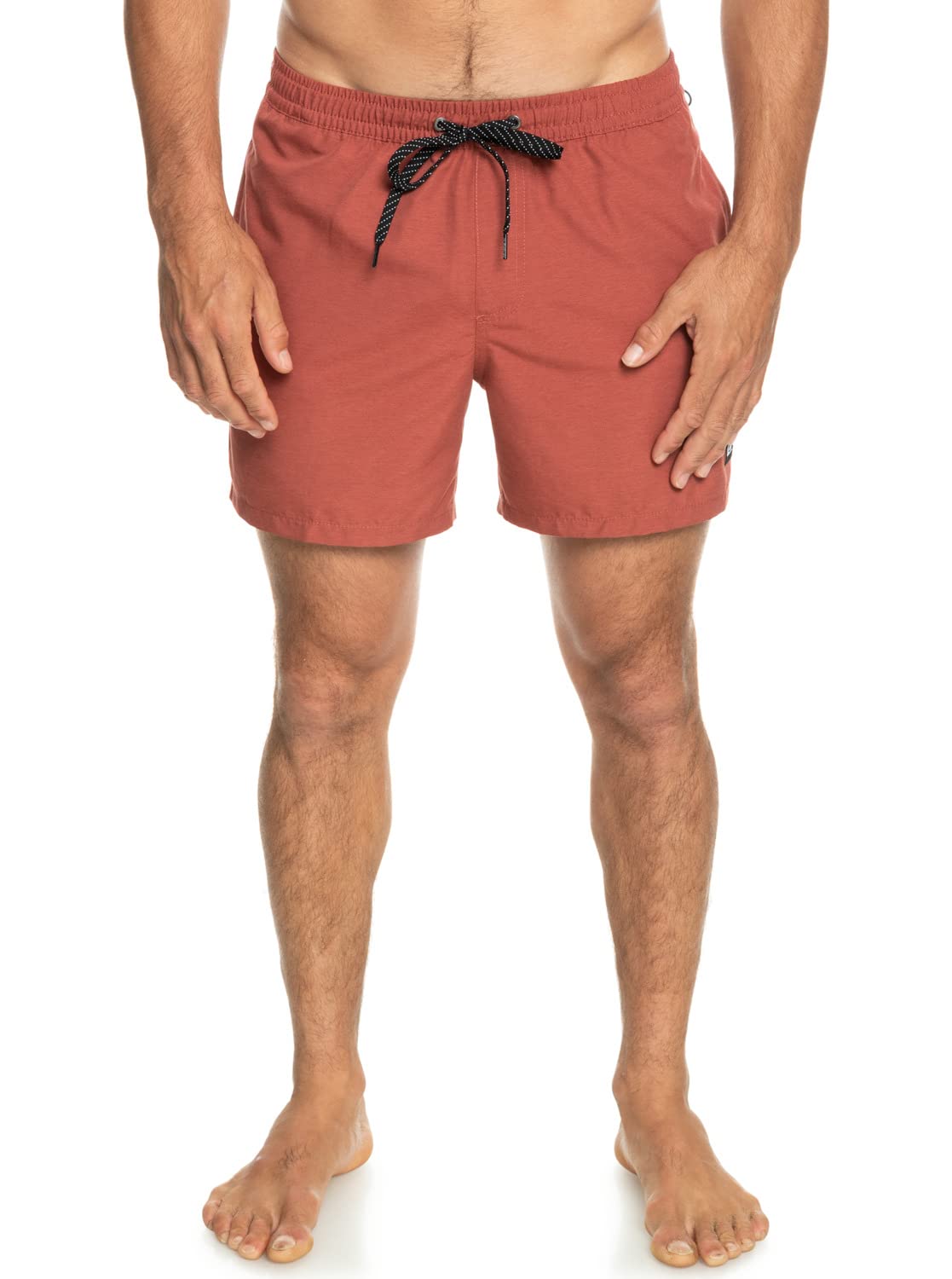 Quiksilver Men's Everyday Deluxe Volley 15 Board Shorts (Pack of 1)