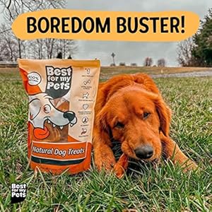 Pig Ears for Dogs whole 30 Pack Healthy Highly Digestible All Natural Pigs Ears Longlasting Dog Chews Pork Dog Chew Treat Cucciolini Doodles Pig ears for dogs whole 30 pack healthy highly digestible all natural pigs ears long lasting dog chews pork dog chew treat cucciolini doodles