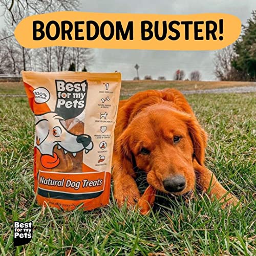 Pig Ears for Dogs whole 30 Pack Healthy Highly Digestible All Natural Pigs Ears Longlasting Dog Chews Pork Dog Chew Treat Cucciolini Doodles Pig ears for dogs whole 30 pack healthy highly digestible all natural pigs ears long lasting dog chews pork dog chew treat cucciolini doodles