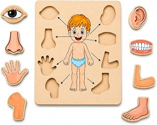 MKV MART Body Part Puzzle Kids Wooden Toys for Kids 3 + Jigsaw Puzzles for Adults Baby Learning Toys Educational Toys Game... Price In India
