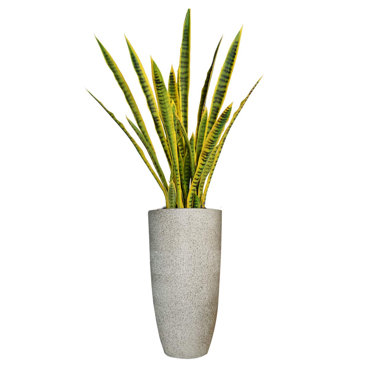 Vintage Home Artificial Faux Real Touch Snake Plant (Sansevieria) (VHX121235)