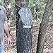 Moultrie Bag Feeder, Pine Bark Camo, One Size, Model: MFG-15019