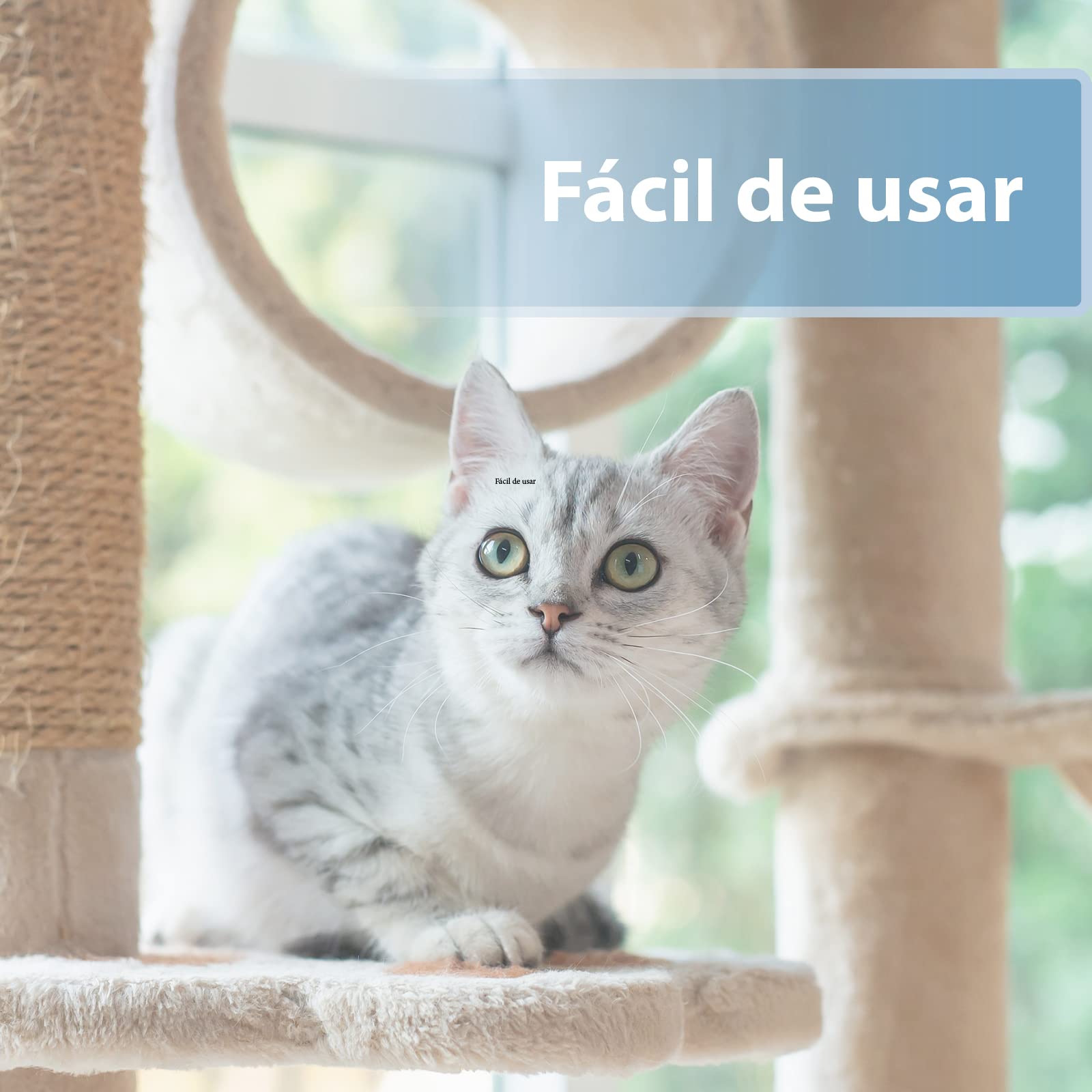 Felisept Almohadilla Para El Cuidado de los Oídos Para Gatos 50 piezas - Cuidado e higiene para orejas de gato - Alevines para una limpieza práctica e intuitiva - Limpiador de oídos para gatos