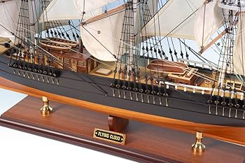 61tSltwaA1L._AC_UF350,