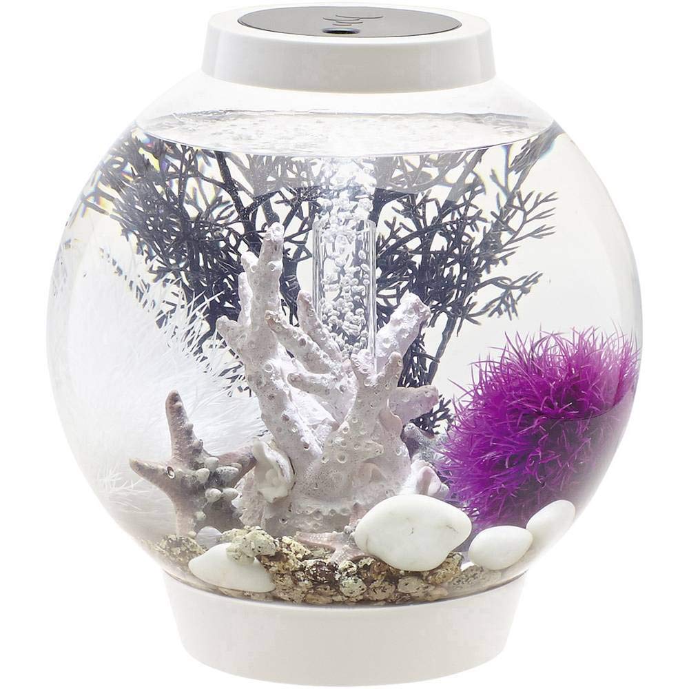 biOrb CLASSIC 15 LED Kugel-Aquarium, 15 Liter - Aquarien Komplett-Set mit LED Beleuchtung und patentiertem Filter-System, Acryl-Becken