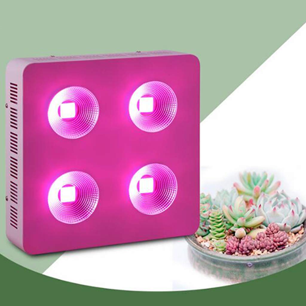 Lampe de Croissance des Plantes (300w LED Grow Light avec Interrupteur Veg&Bloom) Lampe de Croissance des Plantes à LED Spectre Complet avec Guirlande pour Plantes d'intérieur Veg and Flower