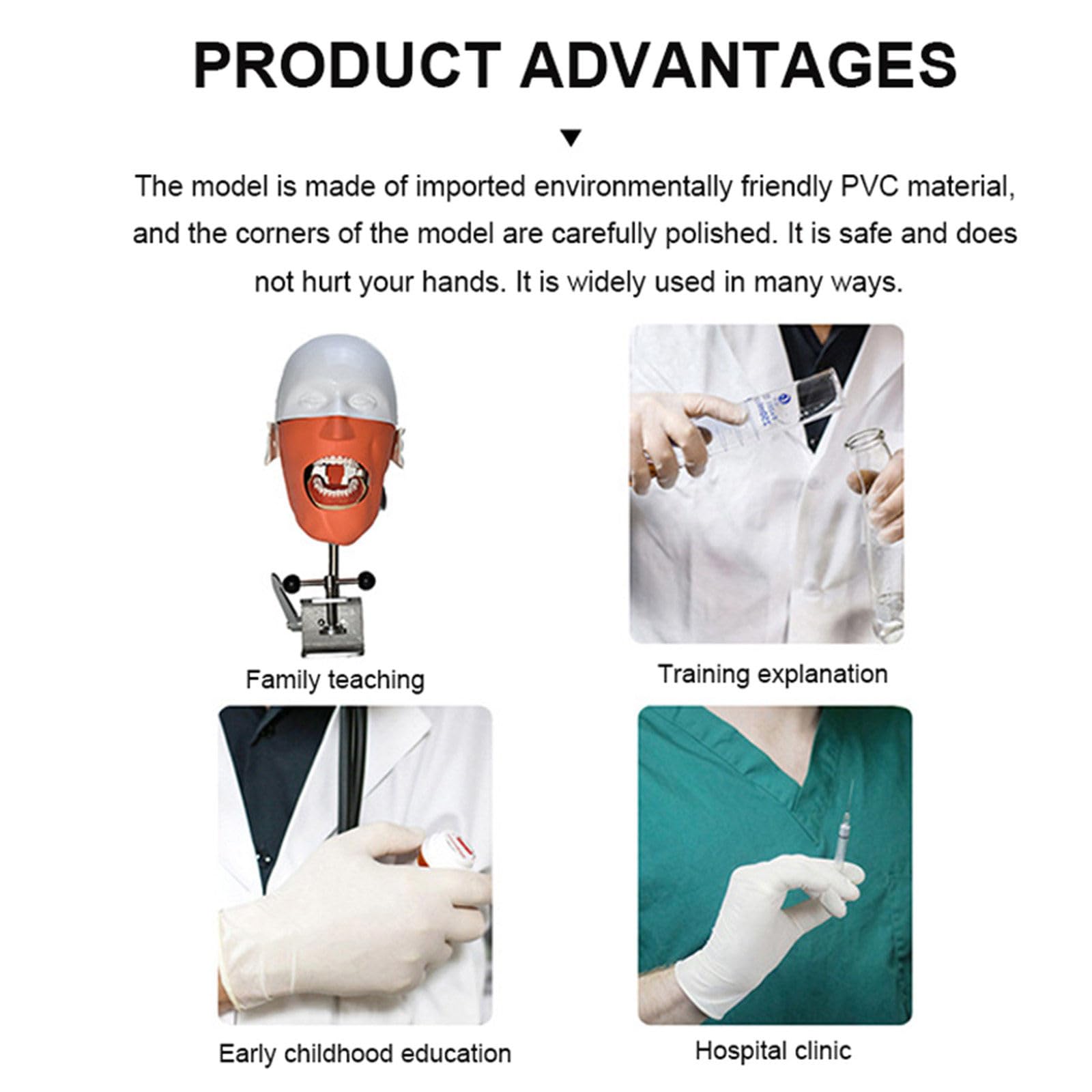 Modello Di Testa Di Phantom Dentale, Simulatore Dentale Phantom Head Training Per Dentisti Assistenti Dentali Pratica Dentista Insegnamento Modello Di Pratica, Con Montaggio Su Banco,Sicuro E Inodore