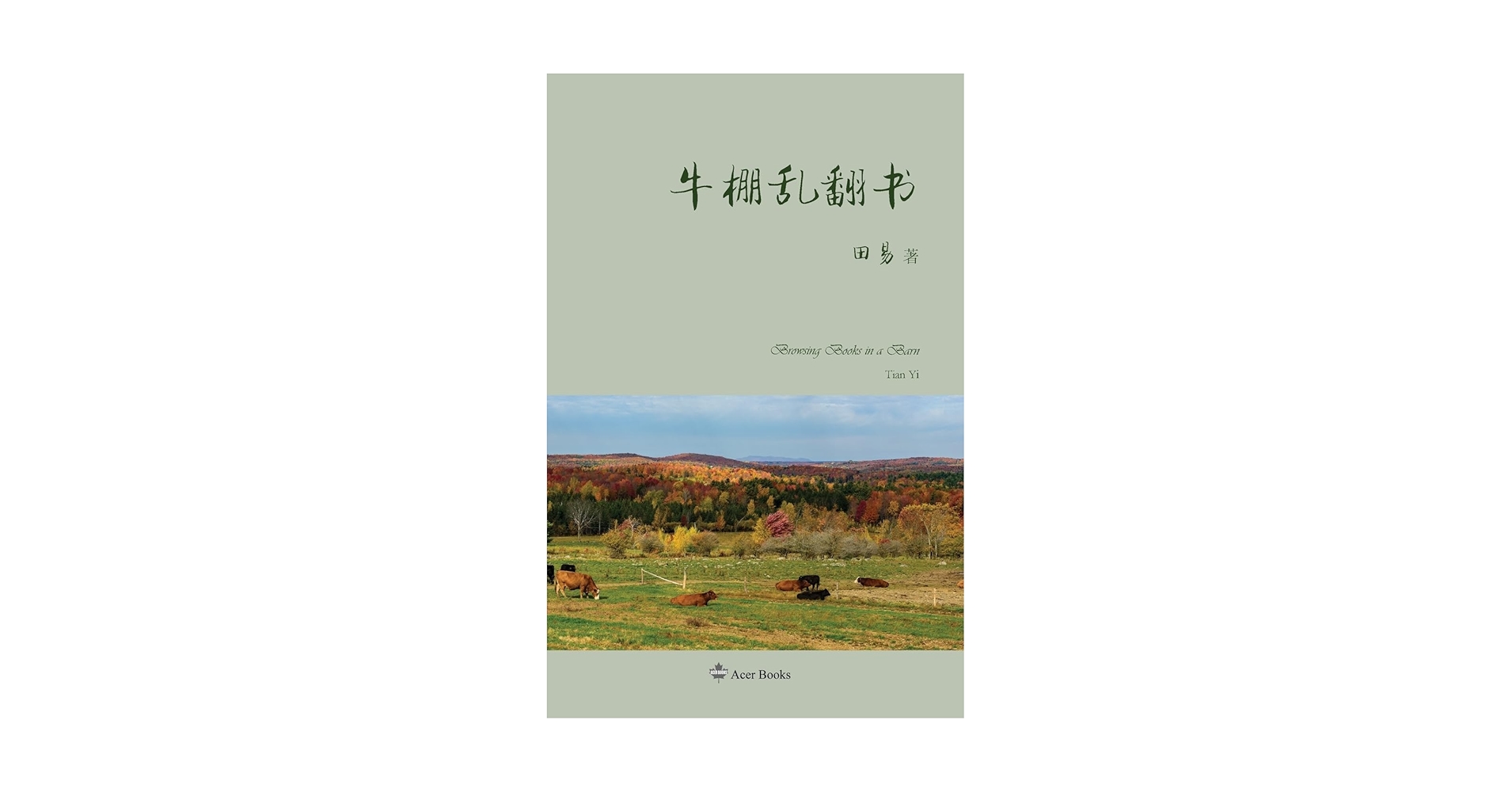 shimmy11本 Amazon.com: 牛棚乱翻书(Acer Essays) (Chinese Edition
