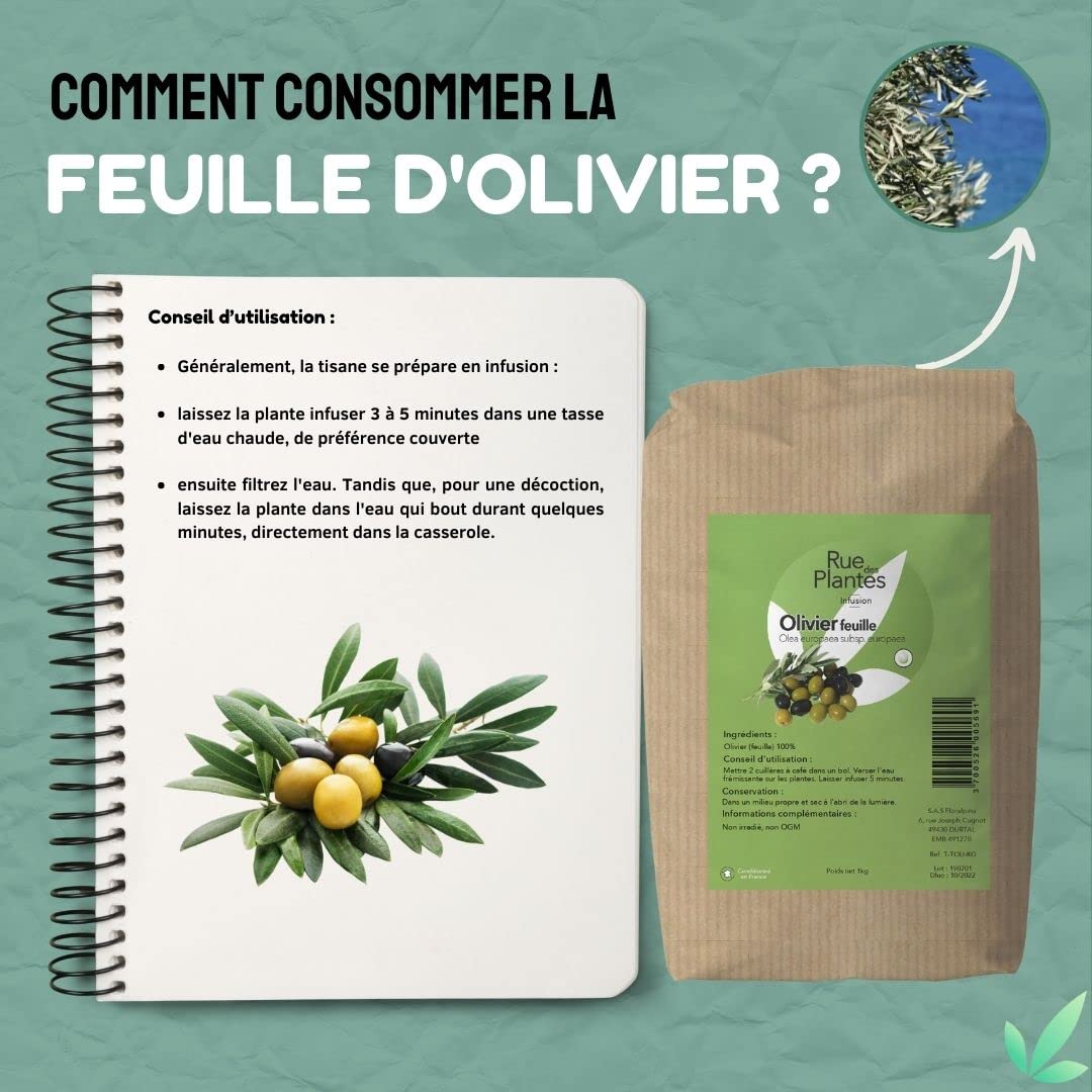 Feuilles d’Olivier 1 kg – Plante Médicinale Traditionnelle pour Circulation, Tension & Défenses Naturelles | Infusion Bien-Être et Complément Naturel – Rue des Plantes