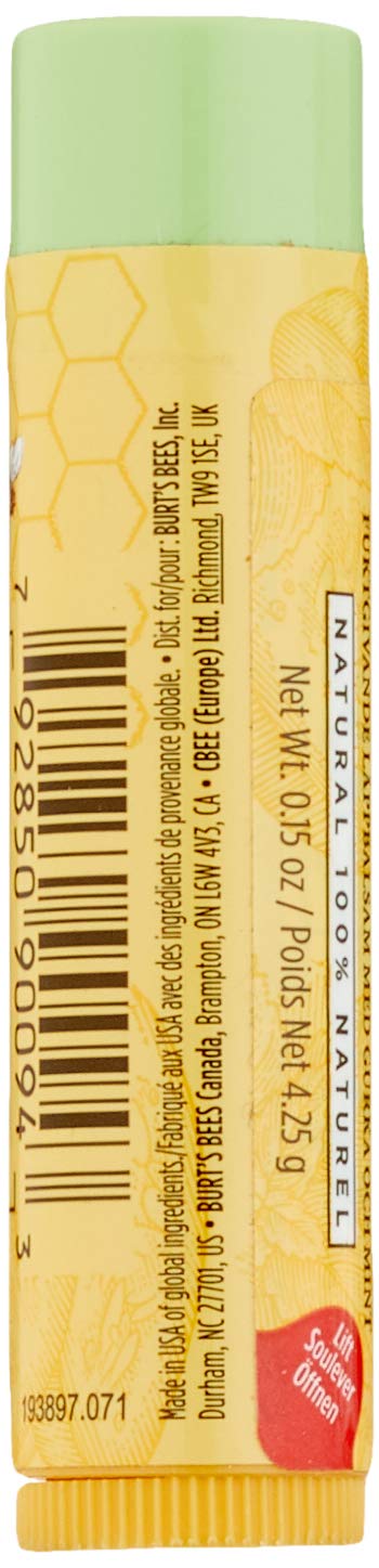 Burt's Bees 100 Percent Natural Moisturising Lip Balm, 4.25 g, Cucumber Mint with Beeswax, 4.25 g (Pack of 1) - Image 3