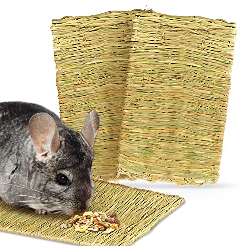 The Best Bedding For Chinchillas